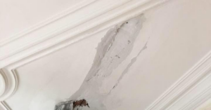A damaged ceiling with peeling plaster in need of repair by Eric Aulbach Plastering in Saint Louis, MO.