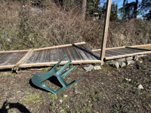 A section of a damaged and fallen wooden fence, showing the need for repair by HandyMan Shocks in Tacoma, WA.