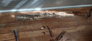 A damaged hardwood floor with debris and a chisel, ready for repair by Handyashby in Saint Joseph, MO.