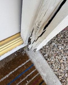 A close-up view of a severely damaged and peeling door frame in need of repair by Eddie of all trades in Peoria, AZ.