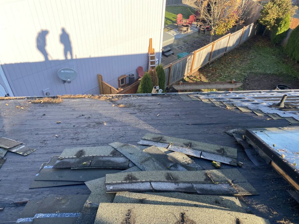 A damaged shingle roof during tear-off for replacement by Sunny's roofing LLC in Denver, CO.