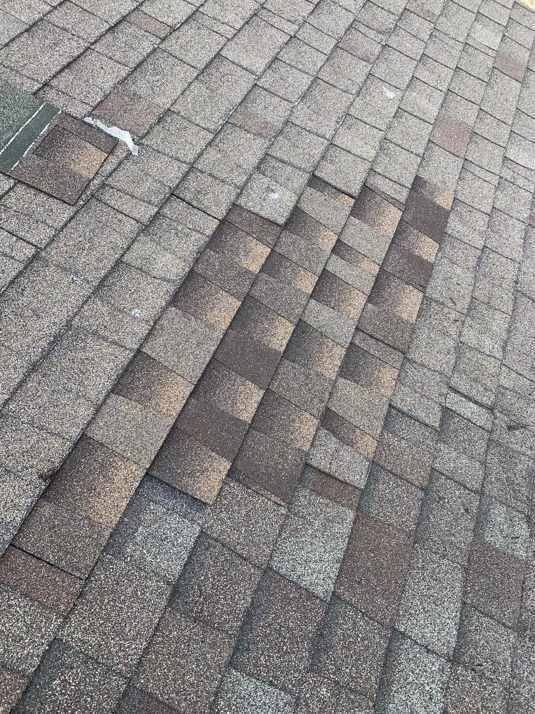 A shingled roof with visible damage and missing shingles, ready for repair by Dan's "Do it All" Handyman Services in Reno, NV.