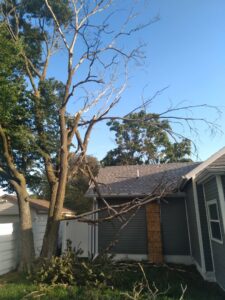 A damaged tree with broken branches on a roof, indicating a need for tree service by Grand Island Tree Service in Grand Island, NE.