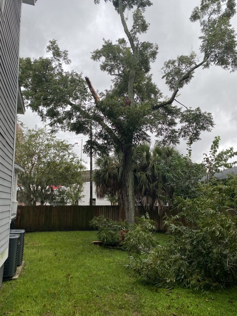 A large tree with a clearly broken branch, indicating storm damage or a hazard requiring tree service from Ayla Tree Service in Bloomingdale, GA.