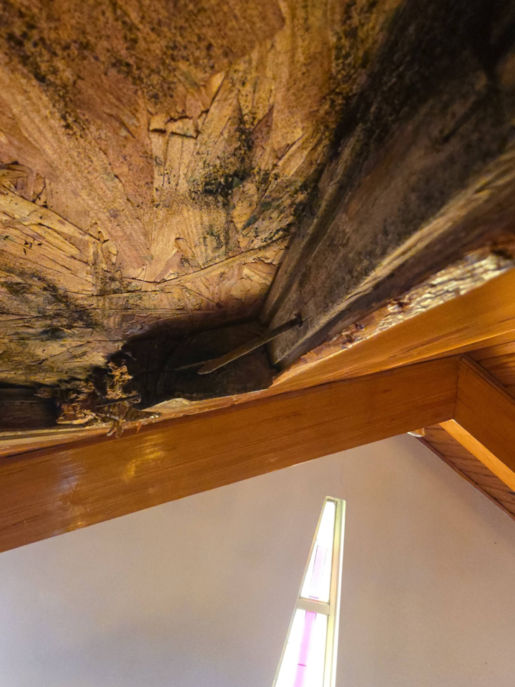 A damaged wooden ceiling showing signs of rot, ready for repair by E and C Handyman and Construction LLC in Owensboro, KY.