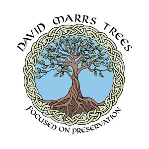 David Marrs Trees