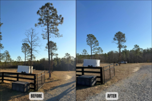 Before and after photo showing a dead tree removed from a field by BW Tree Removal in Aiken, SC.