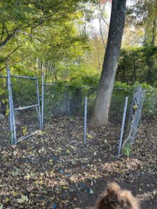Debris scattered around a chain-link fence and tree, indicating a cleanout job for CK Junk Removal in New Bedford, MA