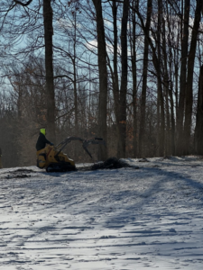 A worker operating a mini skid steer to clear tree debris for Jason's Tree Service Llc. in Garden City, MI.