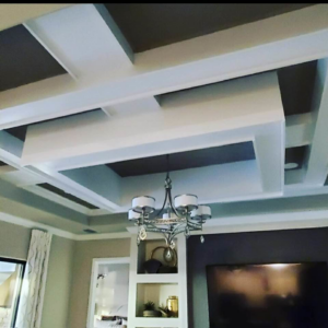 An elegant decorative tray ceiling and built-in shelving in a living area by Catalyst Contracting in Cape Coral, FL.