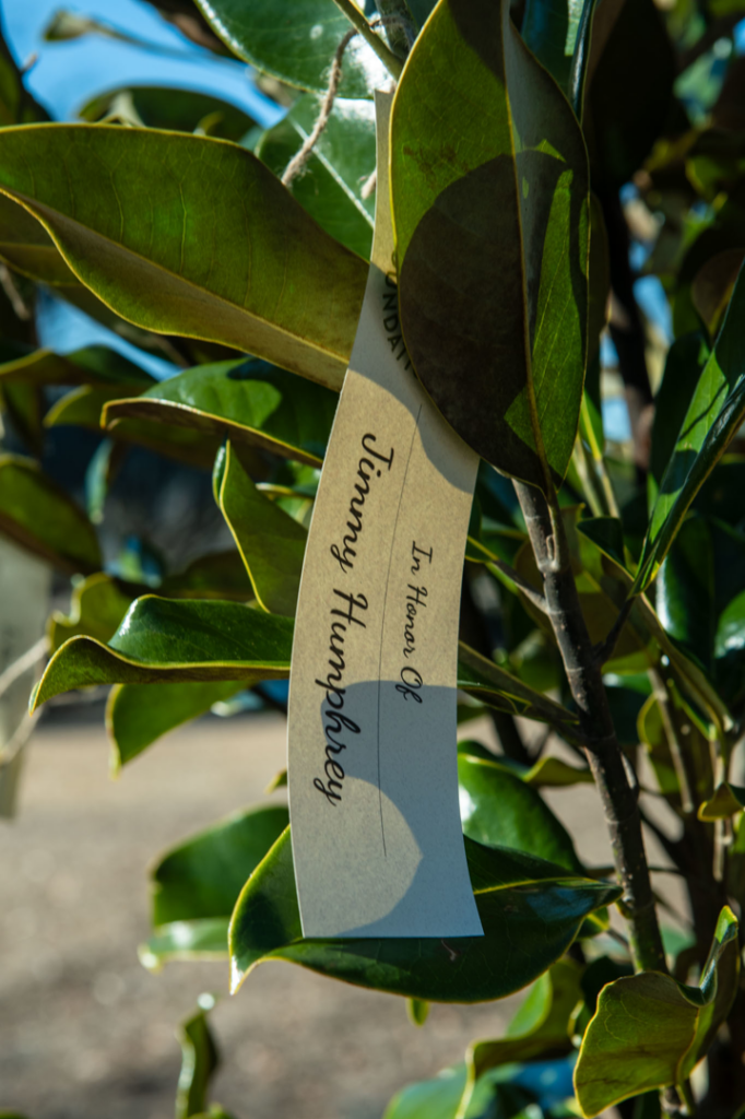 A close-up of a dedication tag for Jimmy Humphrey on a newly planted tree by Savannah Tree Foundation in Savannah, GA