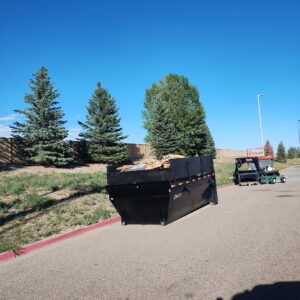 A DELCO dumpster with some wood debris inside, provided by T-Rex Service LLC in Cheyenne, WY.