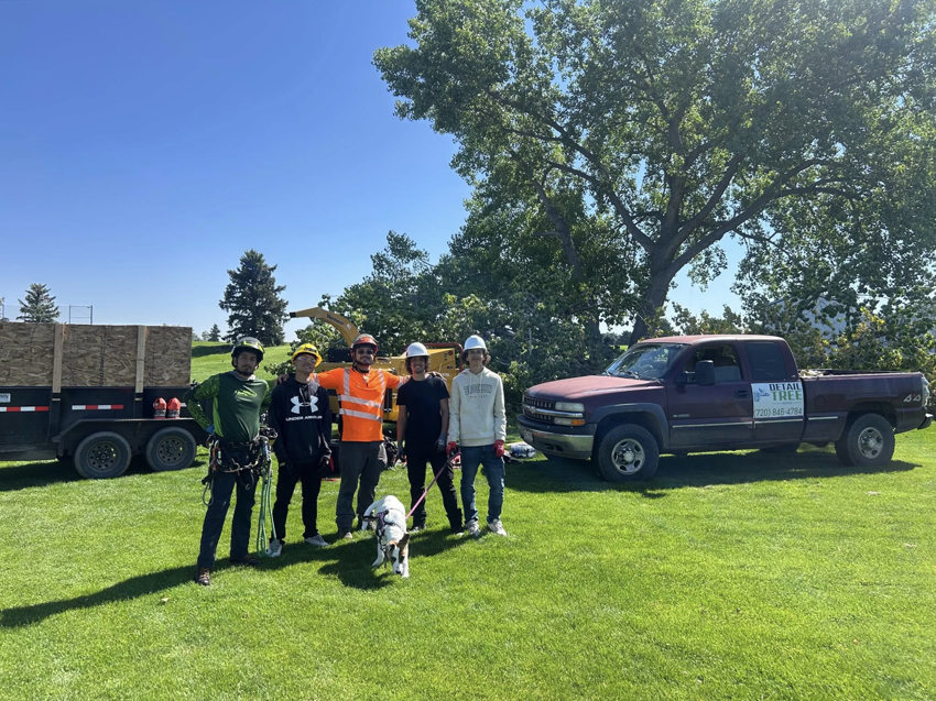 The professional crew of Detail Tree works & landscaping standing with their branded truck and trailer at a job site in Denver, CO.