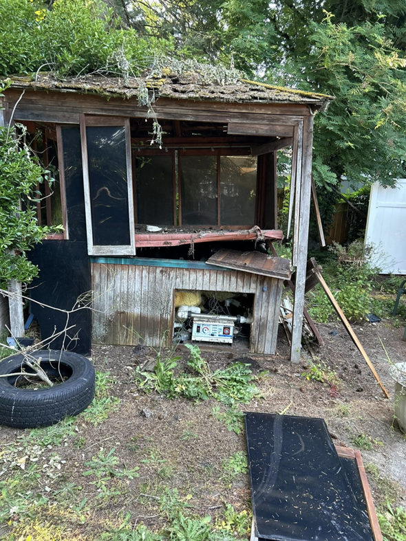 A dilapidated wooden shed with debris and a tire around it, ready for removal by Grit City Junk llc in Tacoma, WA.