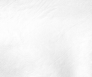 A dirty blue trash bin interior with various debris and grime, showing the need for cleaning by Bin Blasters - Knoxville, TN.