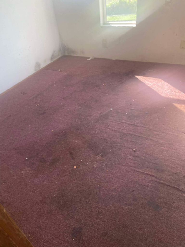 Dirty, stained carpeted room needing a cleanout service from Adept Junk Removal Services LLC in Tacoma, WA.