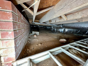 A dirty crawlspace with a brick wall and ladder, showing an inspection before work by Ramos Waterproofing & Crawlspace Sealing LLC in Durham, NC.