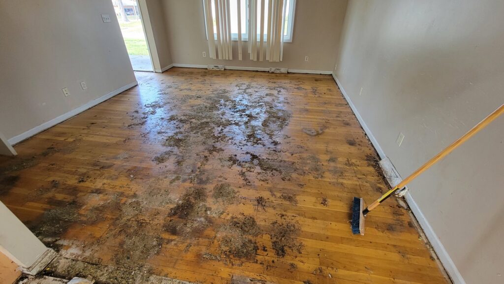 A dirty floor covered with debris inside a house, indicating an interior cleanout job by T&G Dumping in Lorain, OH.