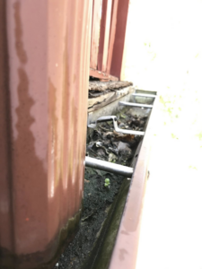 A dirty gutter filled with leaves and debris, ready for cleaning by Applied Pressure LLC in Detroit, MI.