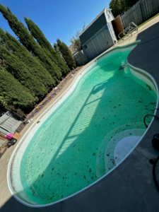 A dirty, green swimming pool before professional cleaning and maintenance by Titan Handyman, LLC in Lewes, DE.
