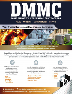DMMC LLC