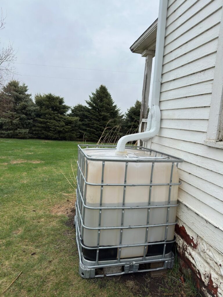 A downspout directing rainwater into a large collection tank, installed by The Brothers that just do Gutters in Sioux Falls, SD.