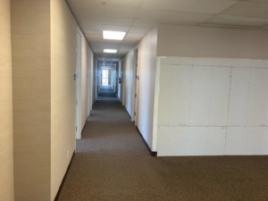 Drywall installation in an office hallway completed by Thomas Constructors LLC in Nashville, TN.
