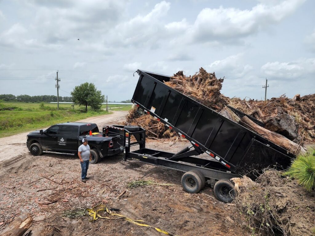 A Silverback Dumpster Rentals dump trailer actively offloading a large pile of tree roots and vegetation in LaBelle, FL.