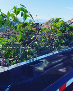 A dump trailer loaded with green tree branches and yard waste, ready for removal by S&J Rental and Removal in Ogden, UT.