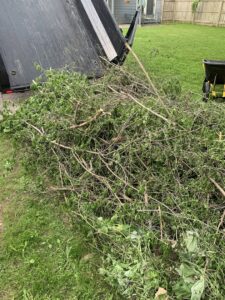 A dump trailer unloading a pile of green branches and brush for disposal by Mr. Groundhog Disposal and Services in Bloomington, MN.