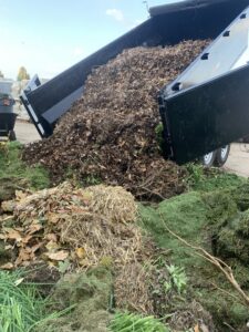 A dump trailer unloading a large pile of leaves and yard waste for disposal by Mr. Groundhog Disposal and Services in Bloomington, MN.