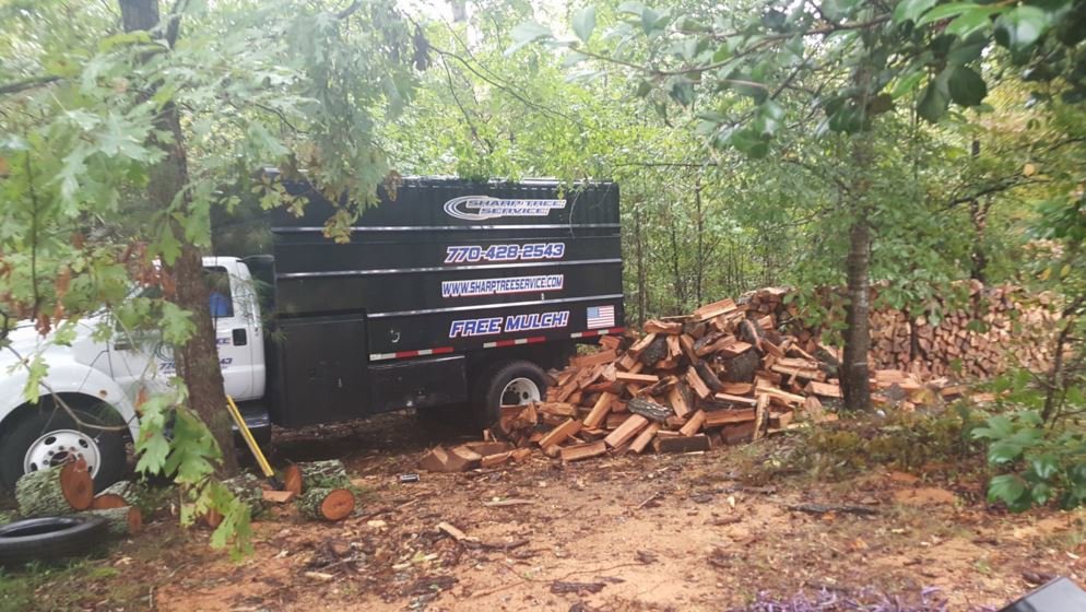 A Sharp Tree Service dump truck next to a pile of firewood, indicating tree removal and mulch services in Cumming, GA.
