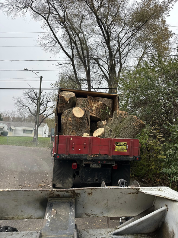 A dump truck filled with large tree logs after a removal job by Double E Tree Service in South Bend, IN.