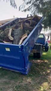 A blue dump truck filled with tree branches and logs, demonstrating yard waste removal by TRS Roll-Offs LLC in Canton, OH.
