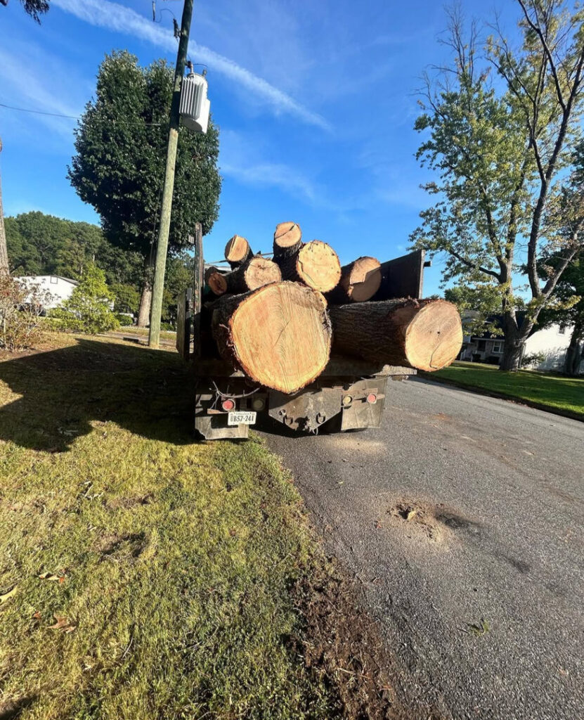 A dump truck loaded with large cut tree logs on a residential street, ready for transport by Ernesto tree service & landscaping LLC in Richmond, VA.