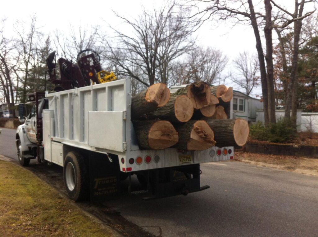 A white dump truck loaded with large cut logs, ready for hauling after tree removal by Toms River Tree Service, LLC in Toms River, NJ.