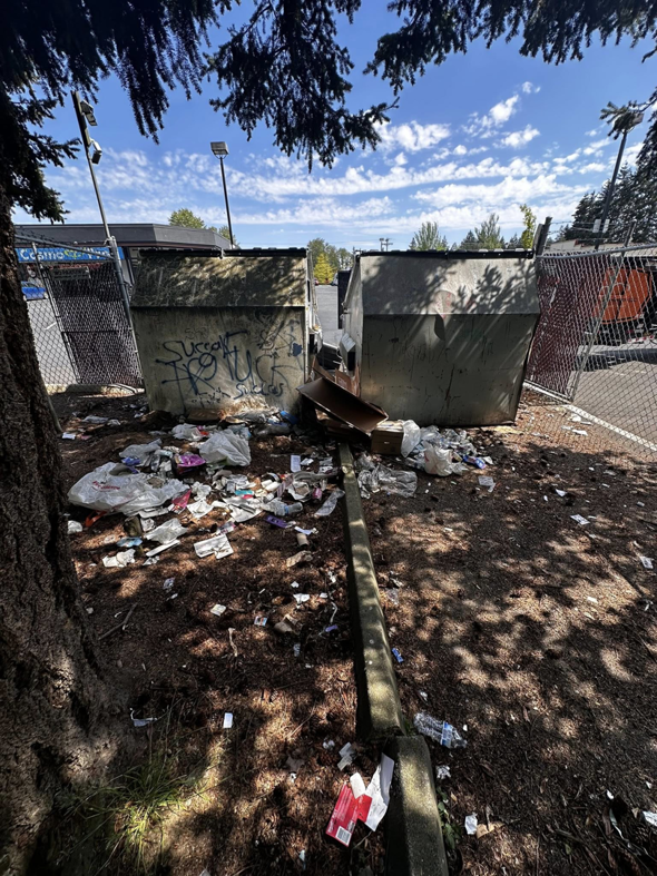 A large amount of trash and debris scattered around dumpsters, ready for cleanup by Family Junk Removal and Hauling LLC in Seattle, WA.