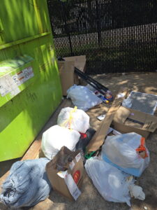 A dumpster area with multiple trash bags and debris awaiting removal by The Removal Squad LLC in Orlando, FL.