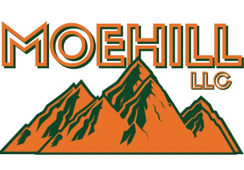 A large dumpster filled with various junk and debris after a cleanup job by Moehill Trashout in Toledo, OH.