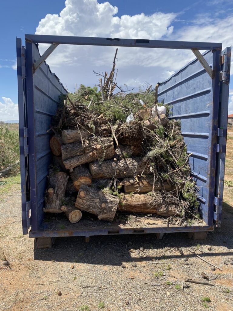 A blue Tidy up time dumpster filled with logs and branches, demonstrating yard waste removal services in El Paso, TX.