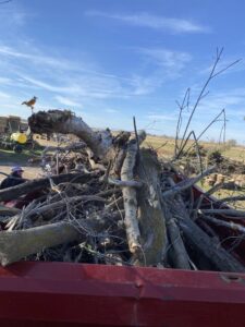 A roll-off dumpster filled with tree branches and yard waste, collected by Jedi Junk Removal Garbage Services Pocatello, ID.