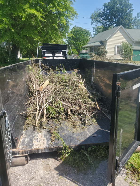 A black dumpster filled with tree branches and yard waste, collected by Standard Dumpster LLC in Rock Hill, SC.