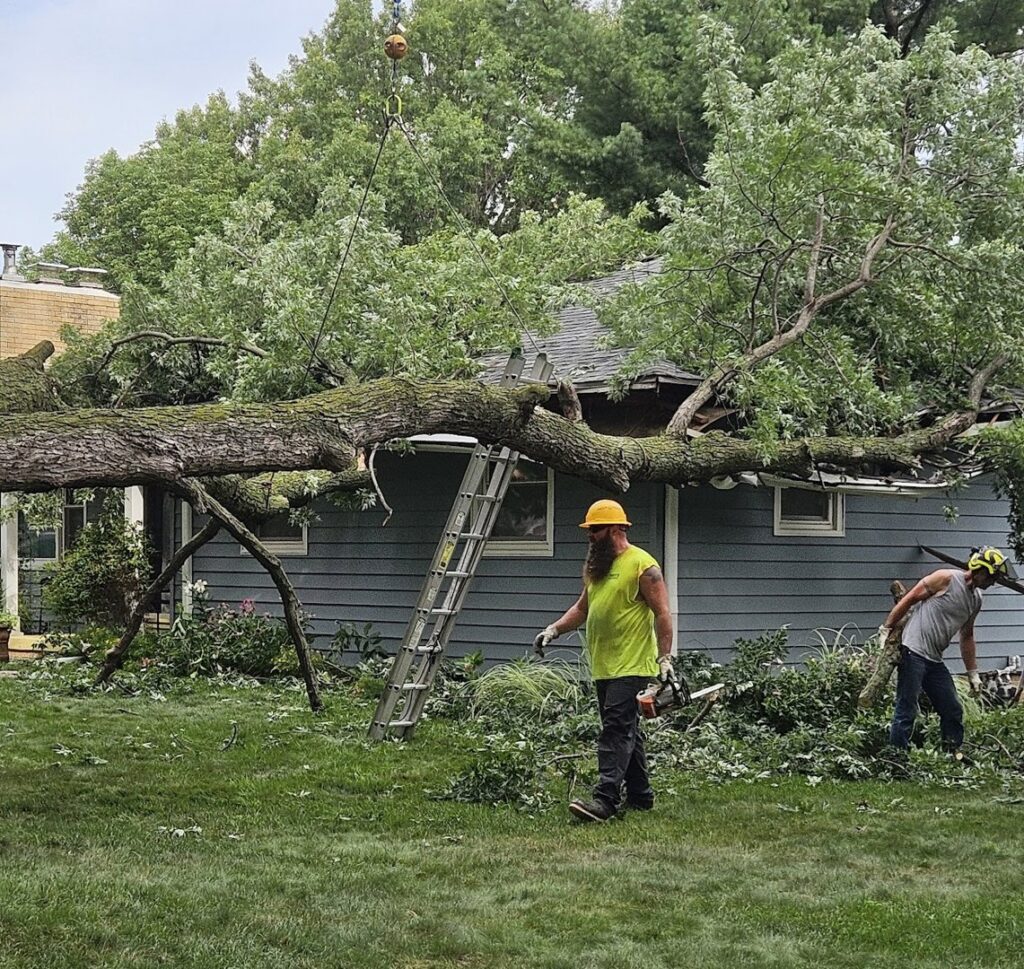 Emergency tree removal in progress, with a large fallen tree on a house by Marv's Tree Service in Omaha, NE.