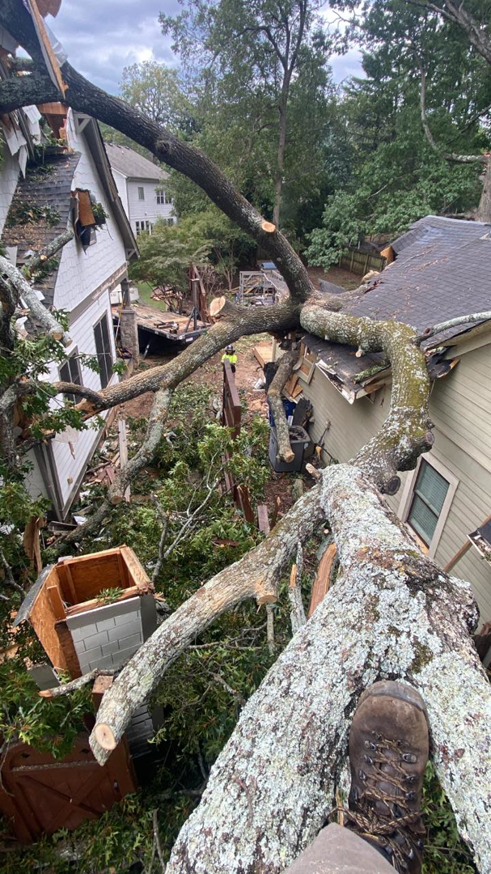 Emergency tree removal service for a large fallen tree on houses by Dad's Tree Care Inc. in Kirkwood, Atlanta, GA.