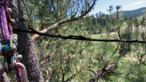A tree service worker on a roof cutting a large fallen tree after storm damage for Double J Tree Service, LLC in Meridian, ID.