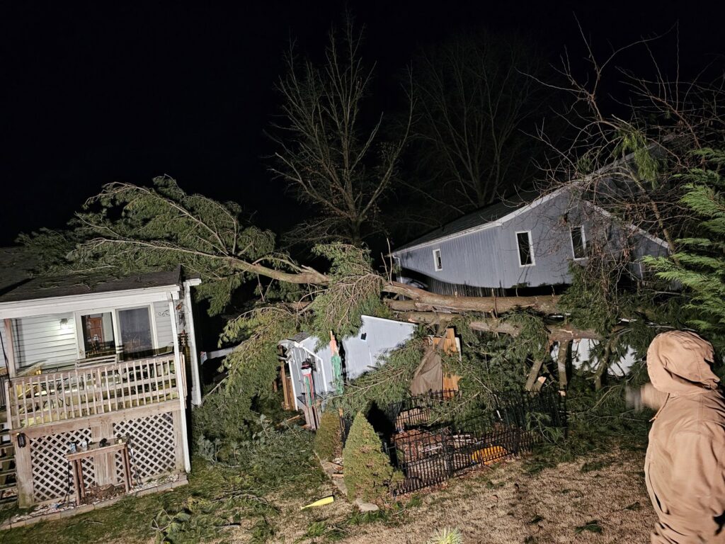 Emergency tree removal of a large fallen tree across two houses at night by Timber Taskforce Tree Service in York, PA.