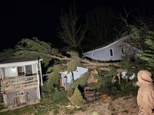 Emergency tree removal of a large fallen tree across two houses at night by Timber Taskforce Tree Service in York, PA.