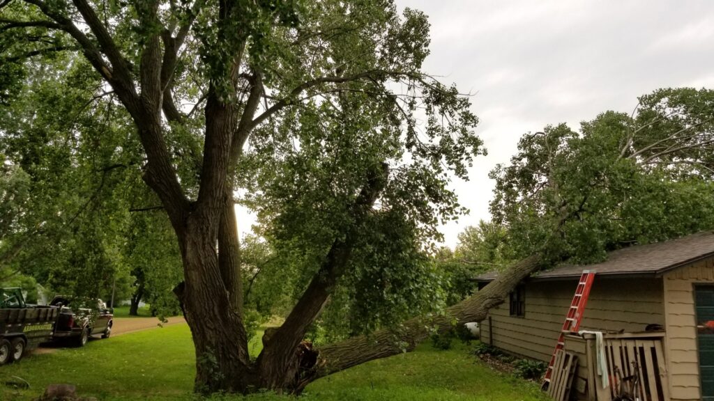 A large tree fallen onto a residential roof, requiring emergency tree removal services from ArborMaster Tree Service Sioux Falls SD.