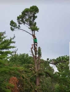 A tree service worker on a roof, secured by ropes, performing emergency tree removal after a tree fell on a house for King's Tree Service LLC in Winfield, MO.