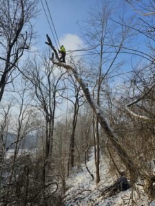 A tree service worker performing emergency tree removal on a leaning branch in snow for Rosas brothers tree service llp in Richmond, KY.